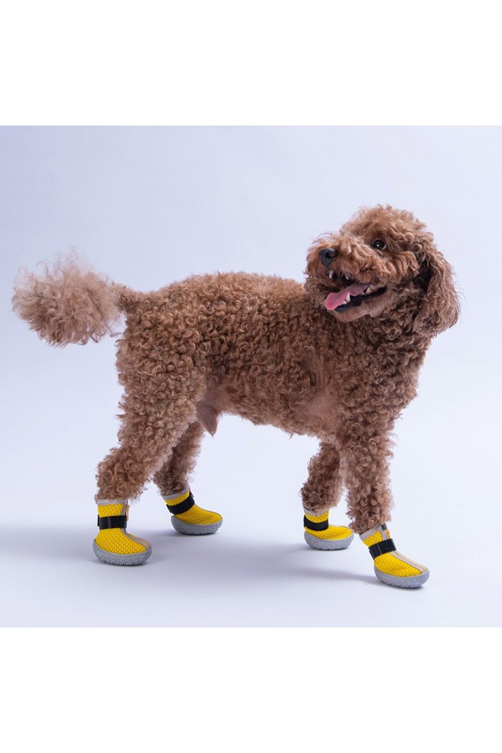 Pawstar Köpek Ayakkabısı Sarı Airmesh No:5 görsel 2