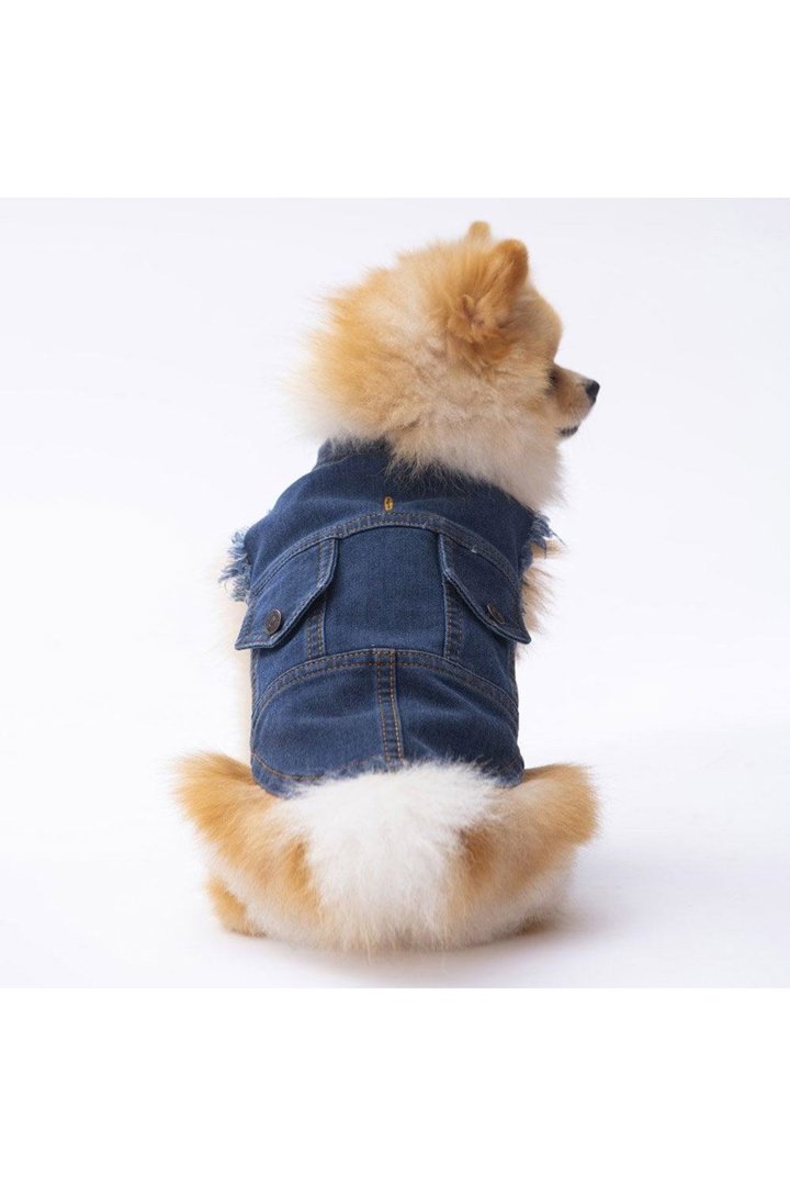 Pawstar Kot Yelek (M) görsel 3