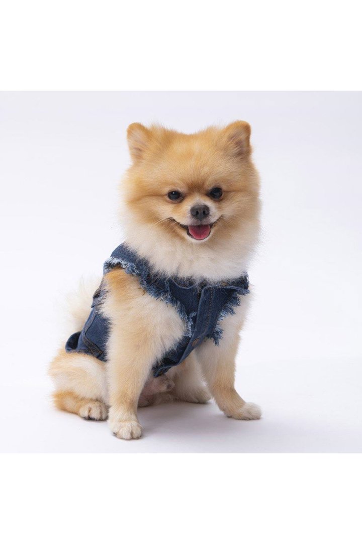 Pawstar Kot Yelek (L) görsel 2