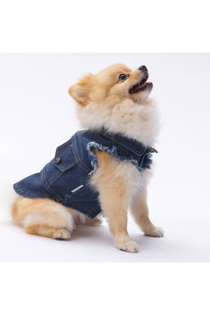 Pawstar Kot Yelek (2XL)