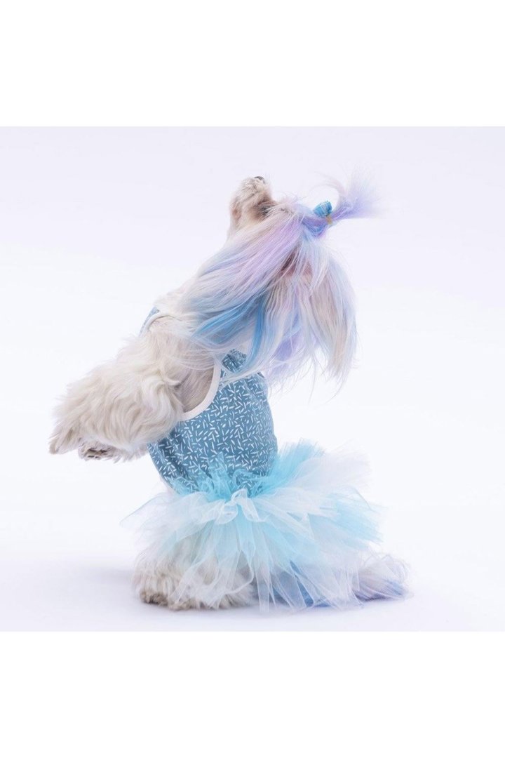 Pawstar Elbise Mavi Puantiyeli (XL)