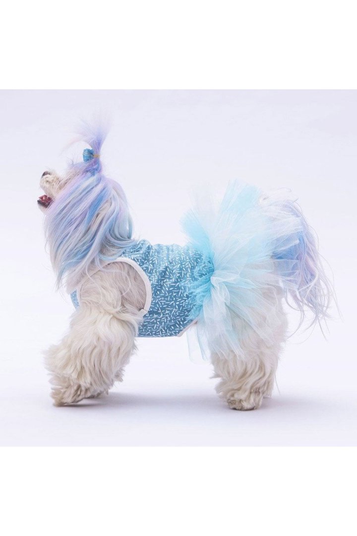 Pawstar Elbise Mavi Puantiyeli (L) görsel 2