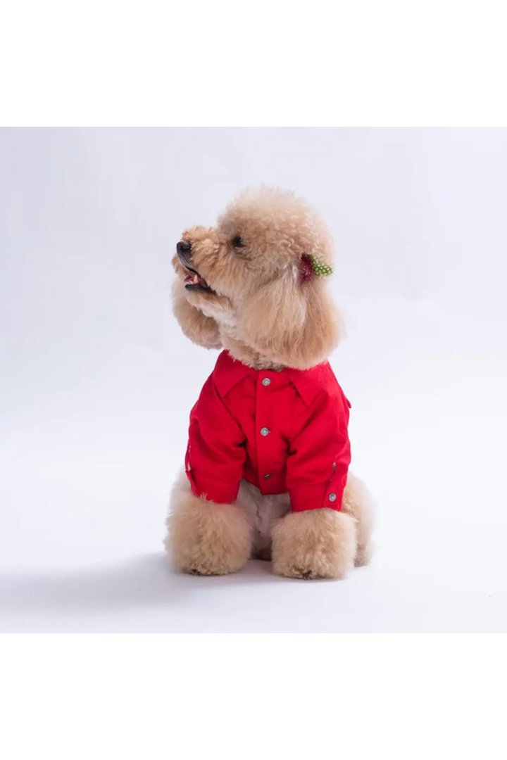 Pawstar Ceket Cancun Pop Kırmızı (M)
