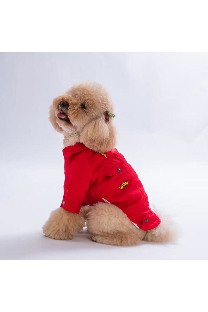 Pawstar Ceket Cancun Pop Kırmızı (M) görsel 6