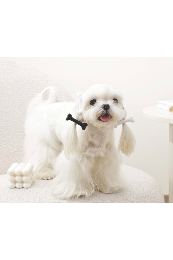 M-Pets Kedi ve Köpek Toka Kemikli Siyah Beyaz görsel 3