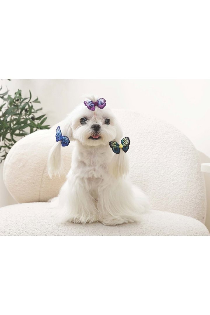 M-Pets Kedi ve Köpek Toka Kelebekli Karışık Renkli görsel 2