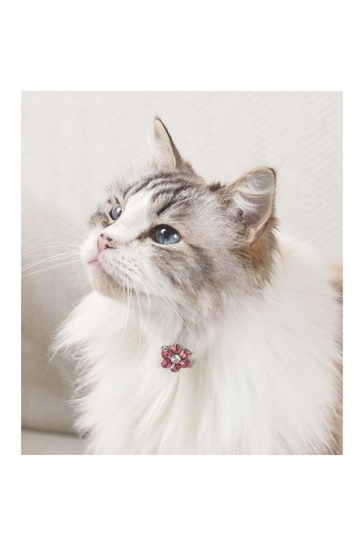 M-Pets Kedi ve Köpek Toka Çiçekli Pembe Beyaz görsel 3
