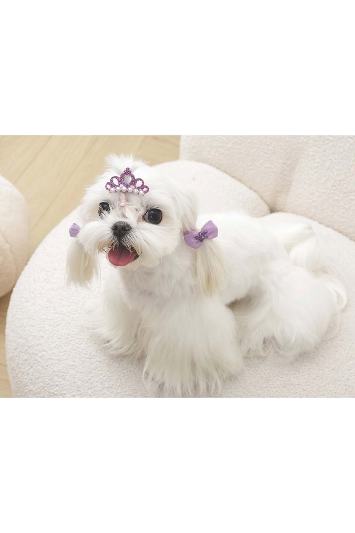 M-Pets Glam Köpekler İçin Toka Mor görsel 2