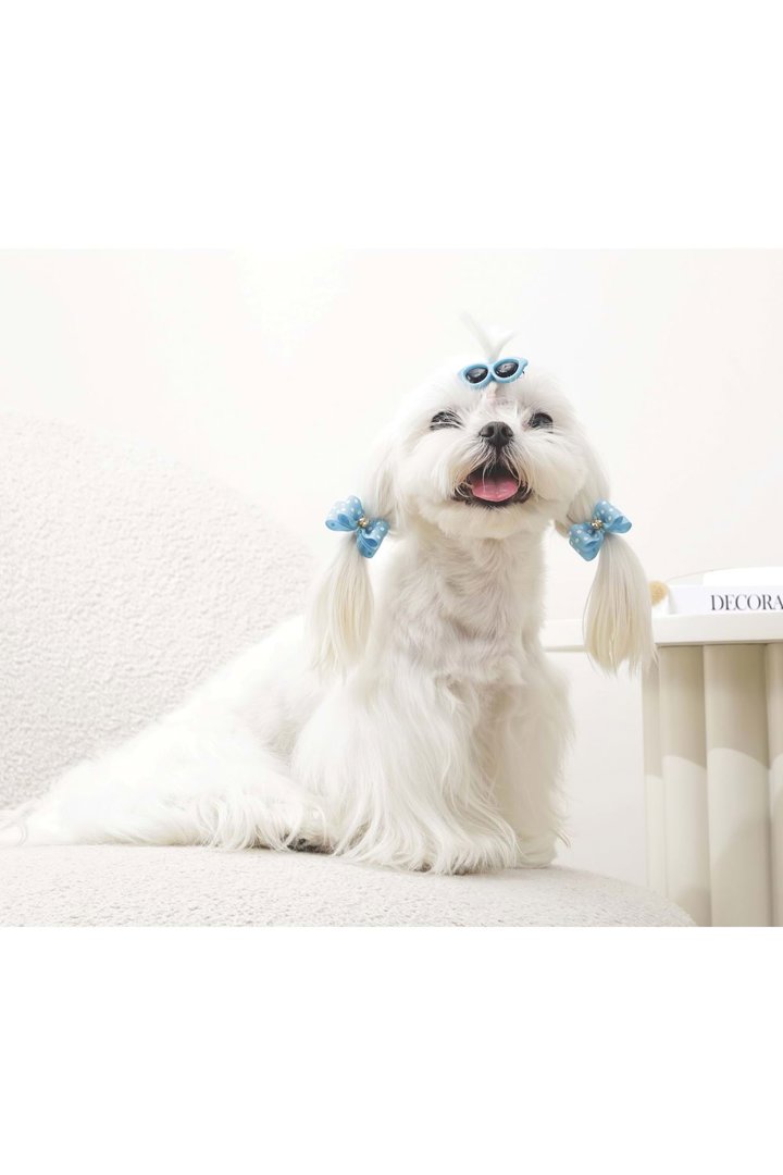 M-Pets Glam Köpekler İçin Toka Mavi görsel 3