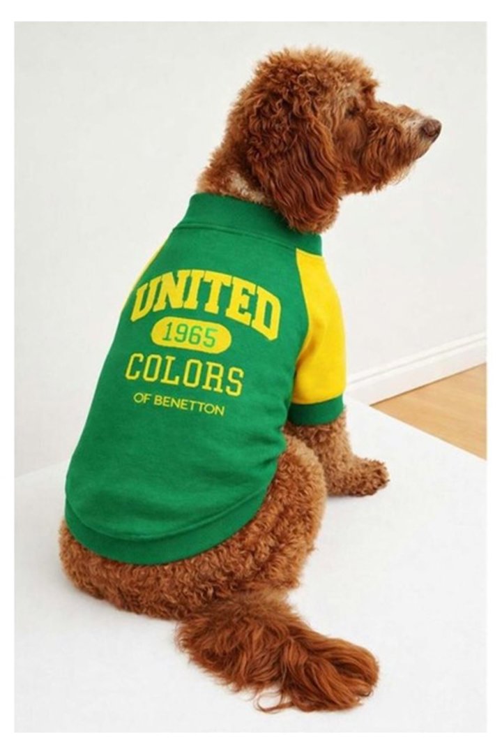 Benetton Sweatshirt Yeşil (M)