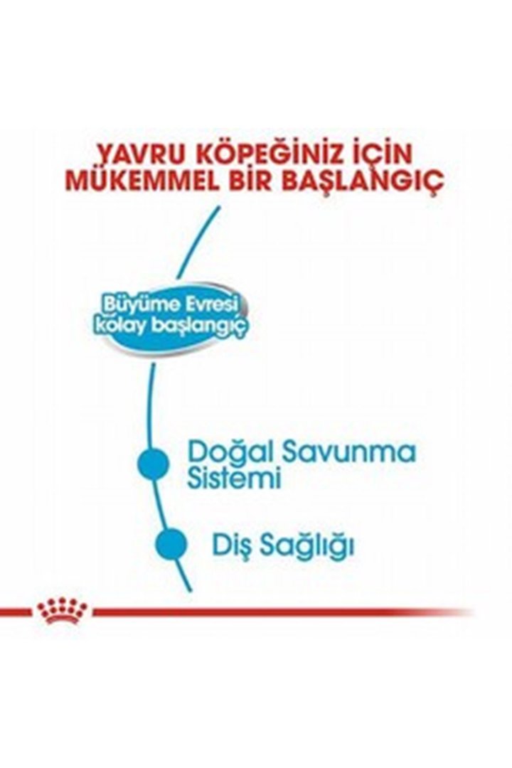 Royal Canin Köpek Yaş Maması Anne Yavru 195 G görsel 5