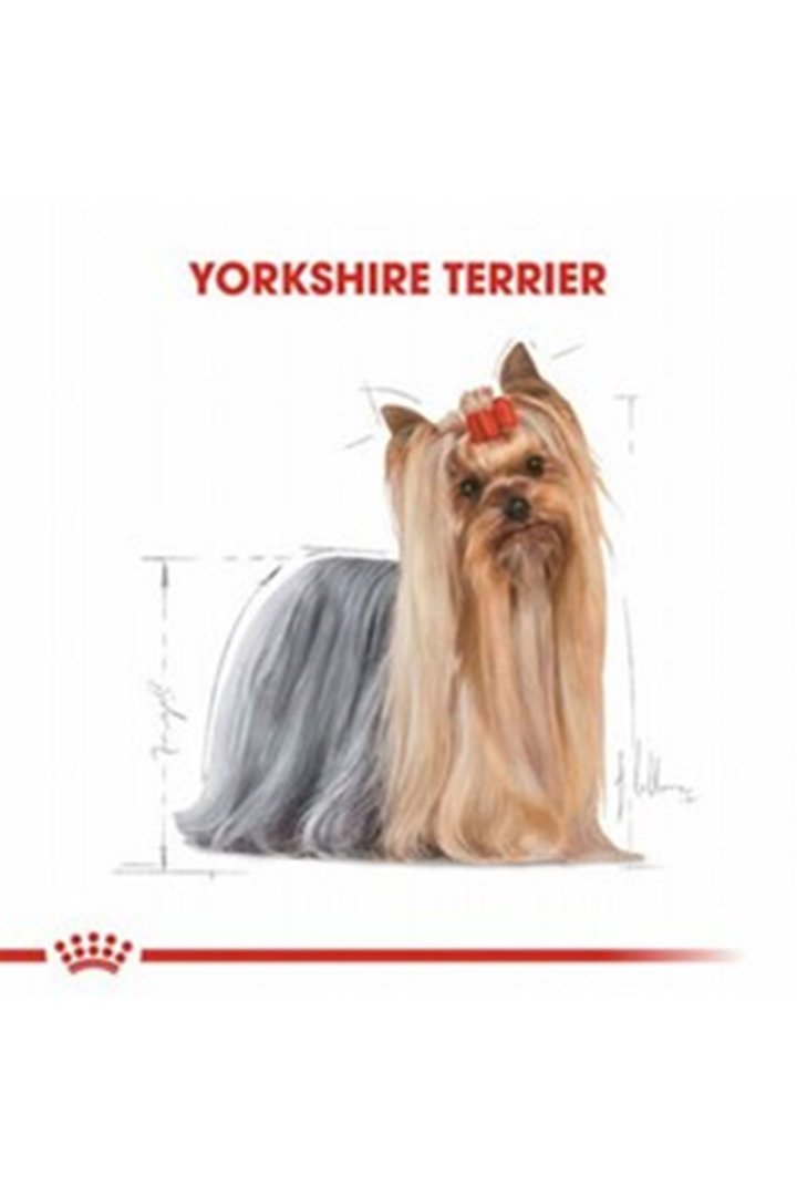 Royal Canin Köpek Maması Yorkshire 1.5 Kg görsel 6
