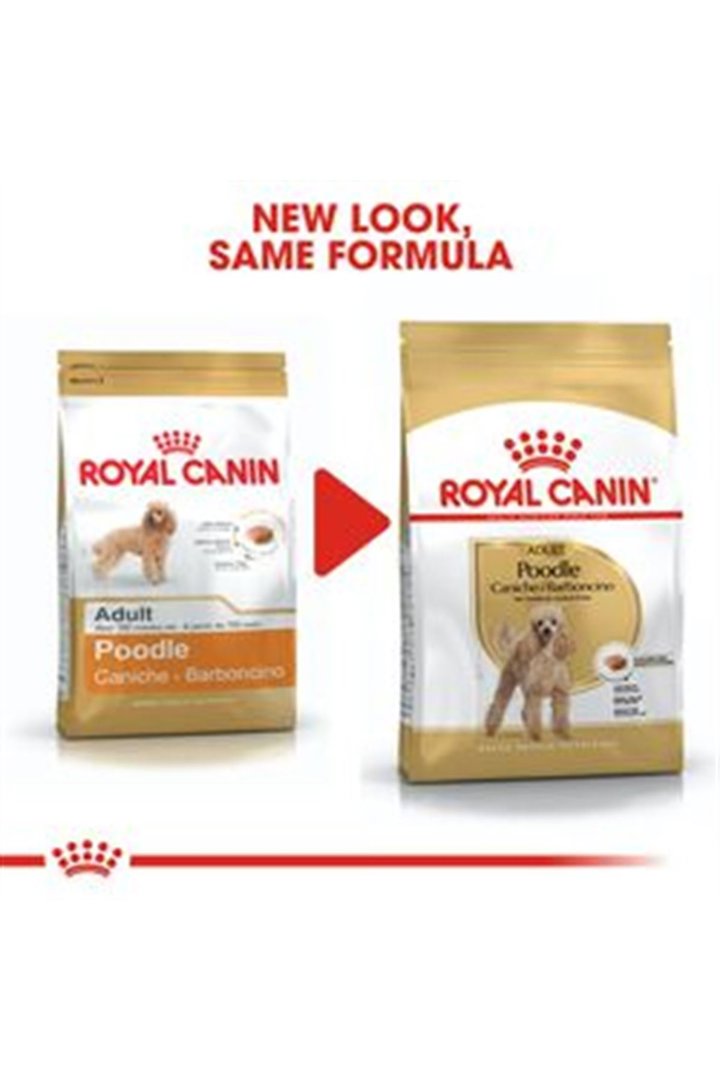 Royal Canin Köpek Maması Poodle 3 Kg görsel 4