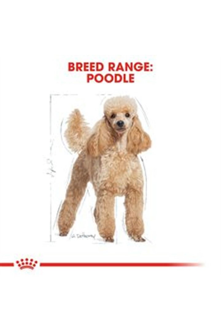 Royal Canin Köpek Maması Poodle 3 Kg görsel 5