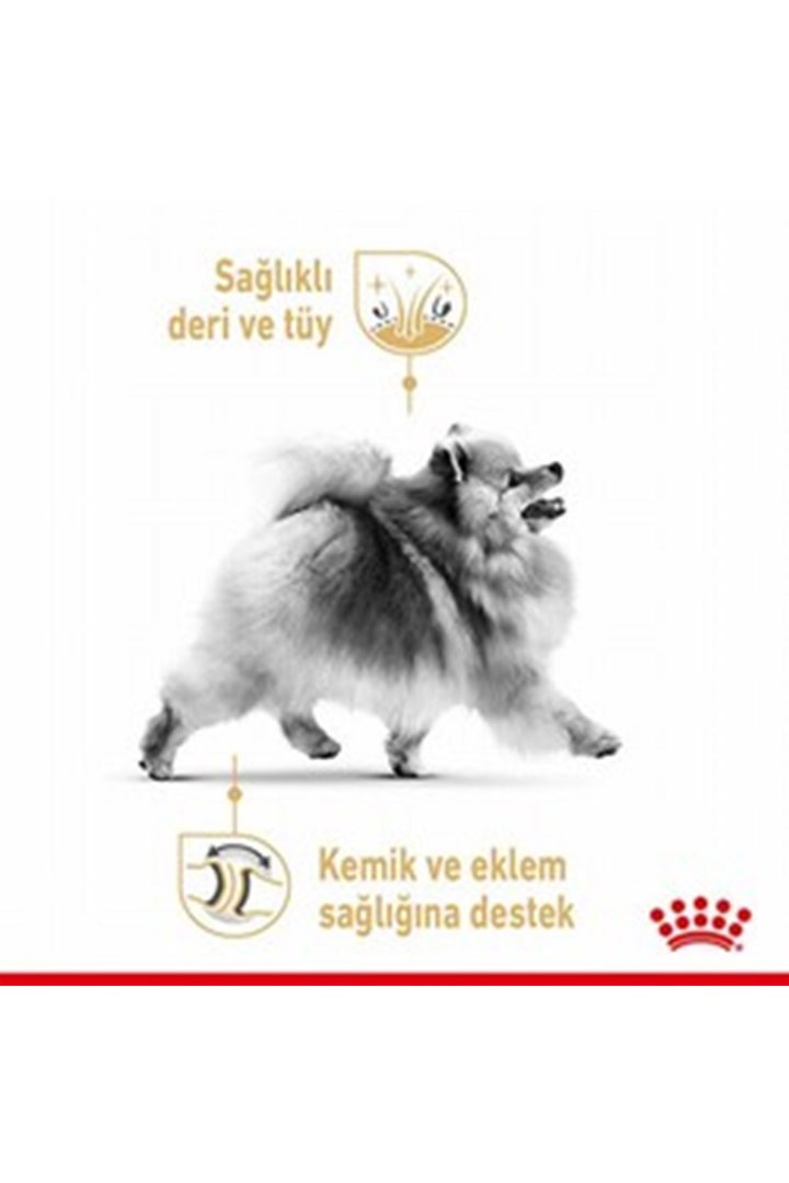 Royal Canin Köpek Maması Pomeranian 1.5 Kg görsel 5