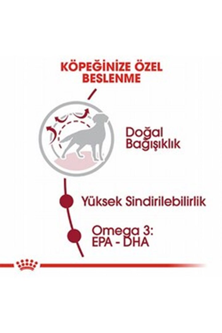 Royal Canin Köpek Maması Orta Irk 15 Kg görsel 2