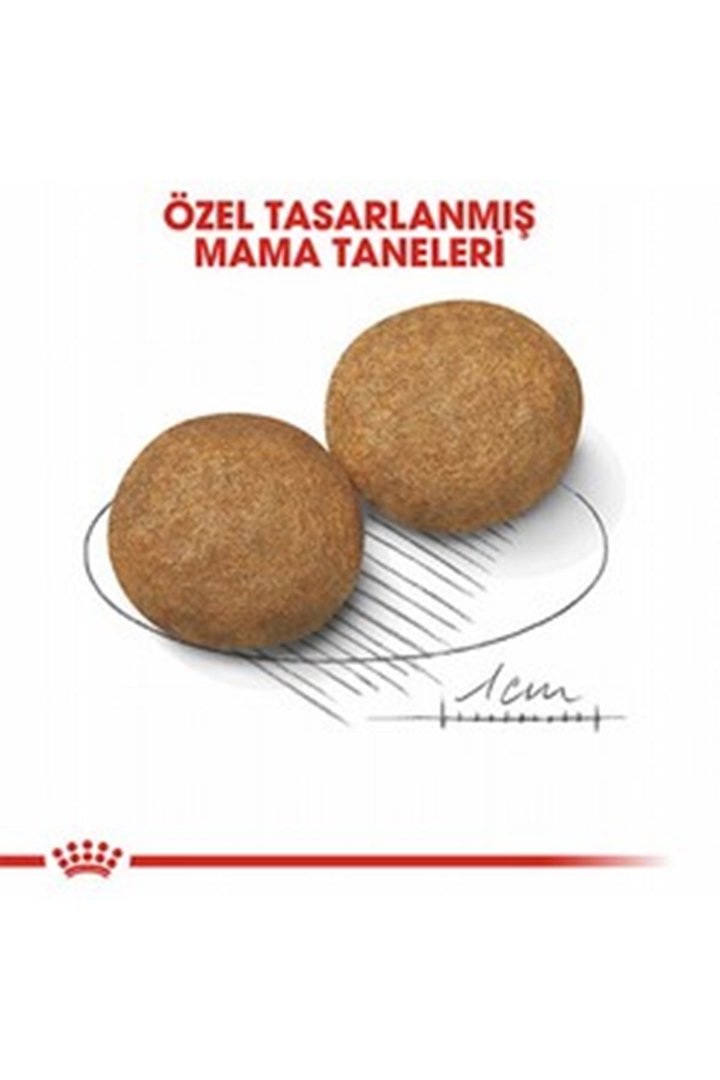 Royal Canin Köpek Maması Orta Irk 15 Kg görsel 3
