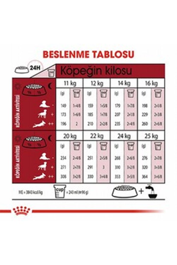 Royal Canin Köpek Maması Orta Irk 15 Kg görsel 4