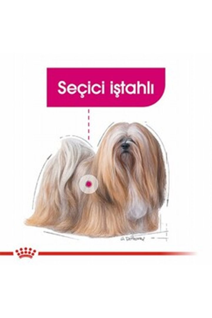Royal Canin Köpek Maması Mini Seçici 3 Kg görsel 3