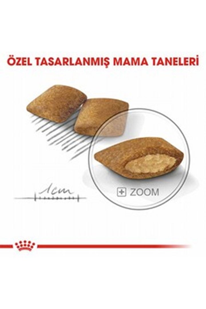 Royal Canin Köpek Maması Mini Seçici 3 Kg görsel 4