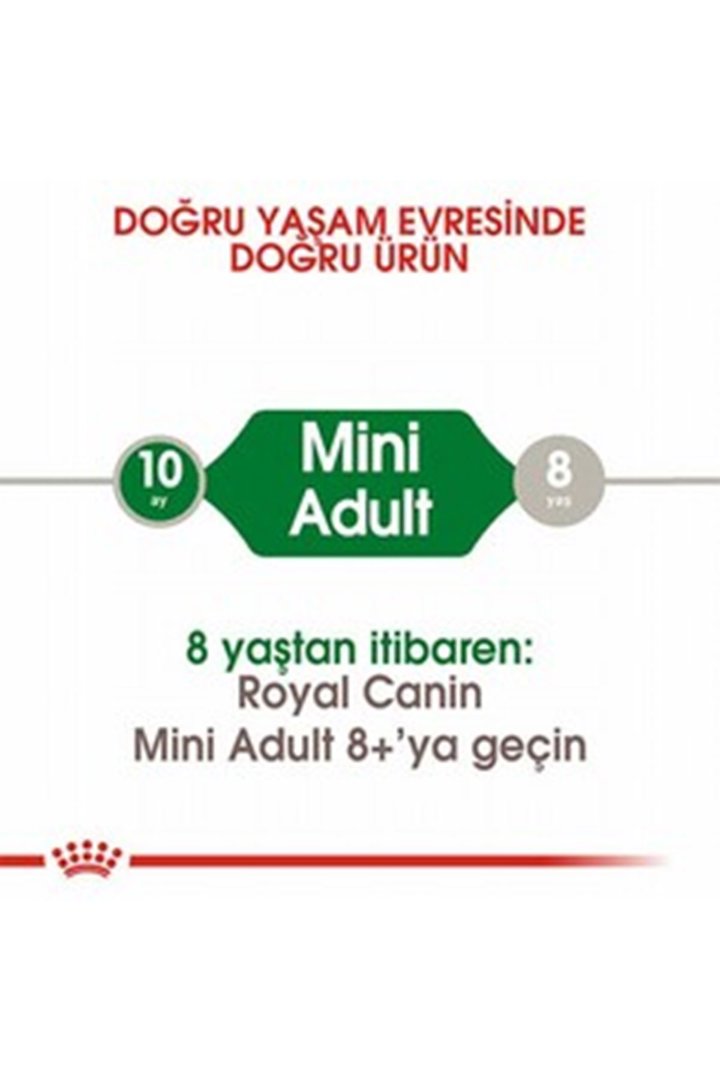 Royal Canin Köpek Maması Mini Irk 4 Kg görsel 2