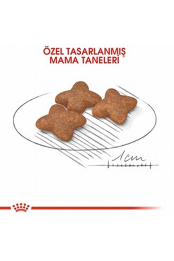 Royal Canin Köpek Maması Mini Irk 4 Kg görsel 3