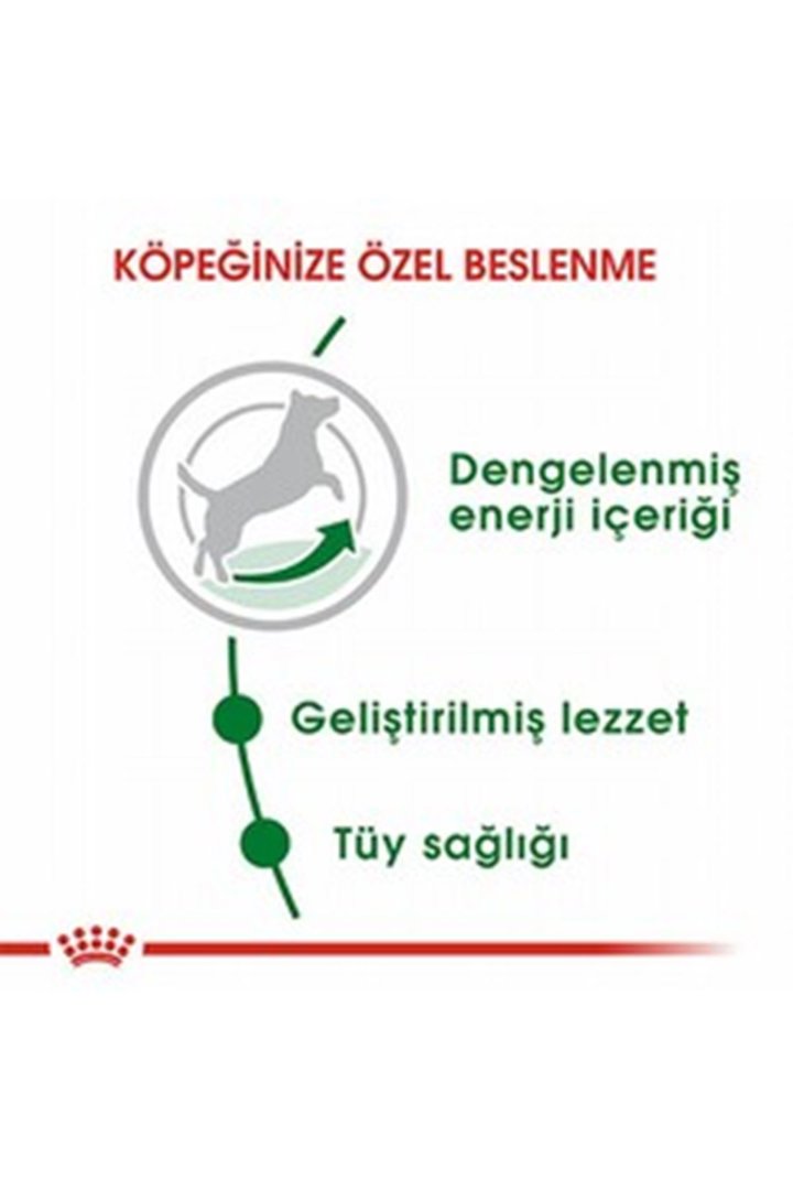 Royal Canin Köpek Maması Mini Irk 4 Kg görsel 7