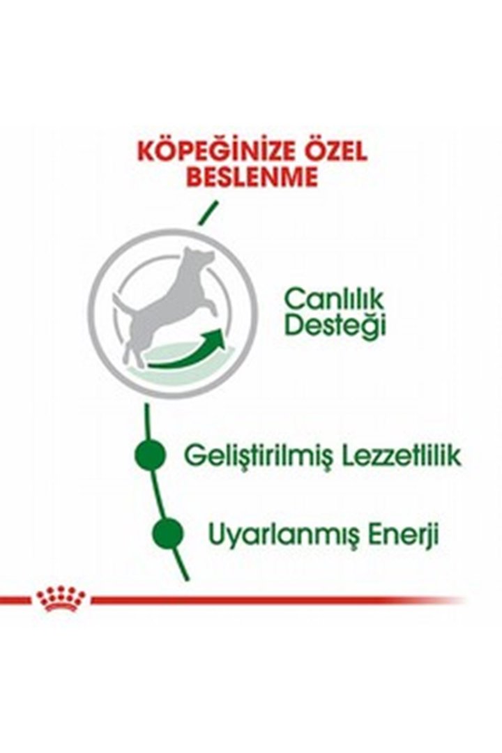 Royal Canin Köpek Maması 8+ Mini Irk 2 Kg görsel 2
