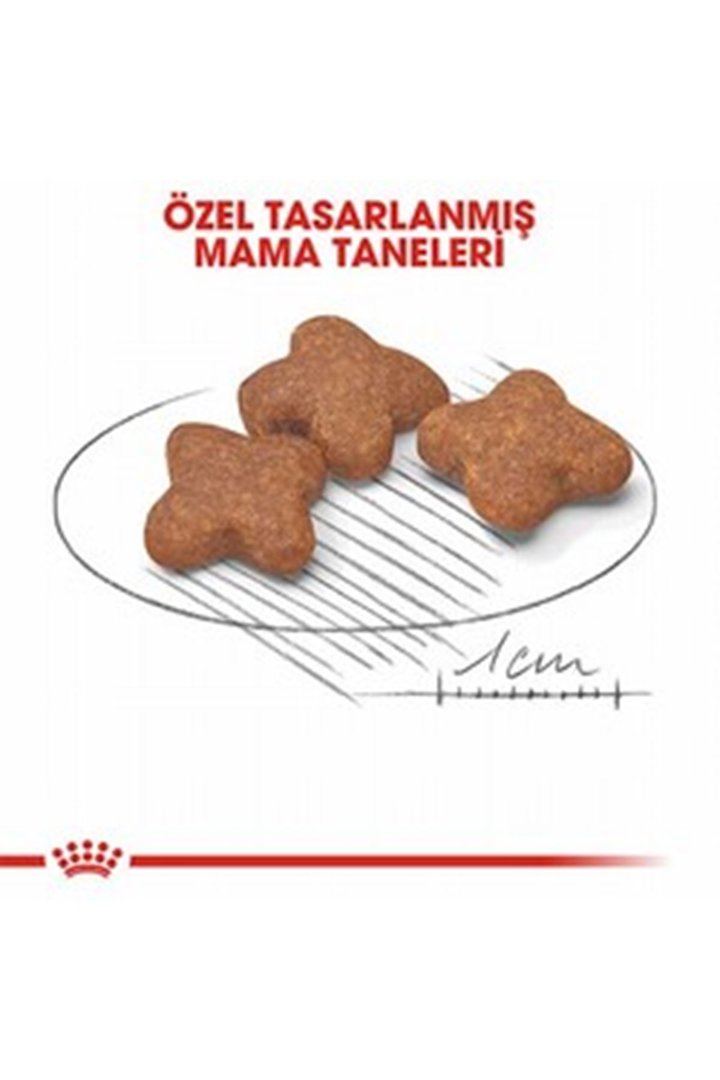 Royal Canin Köpek Maması 8+ Mini Irk 2 Kg görsel 3
