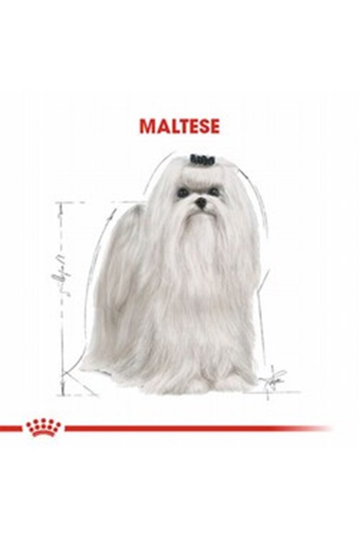 Royal Canin Köpek Maması Maltese 1.5 Kg görsel 3