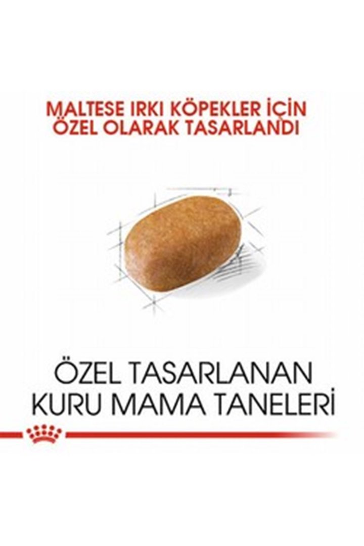 Royal Canin Köpek Maması Maltese 1.5 Kg görsel 4