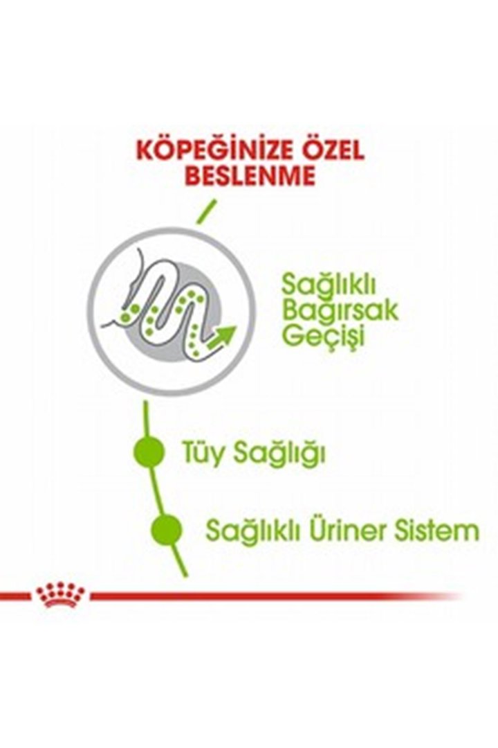 Royal Canin Köpek Maması Küçük Irk 1.5 Kg görsel 3
