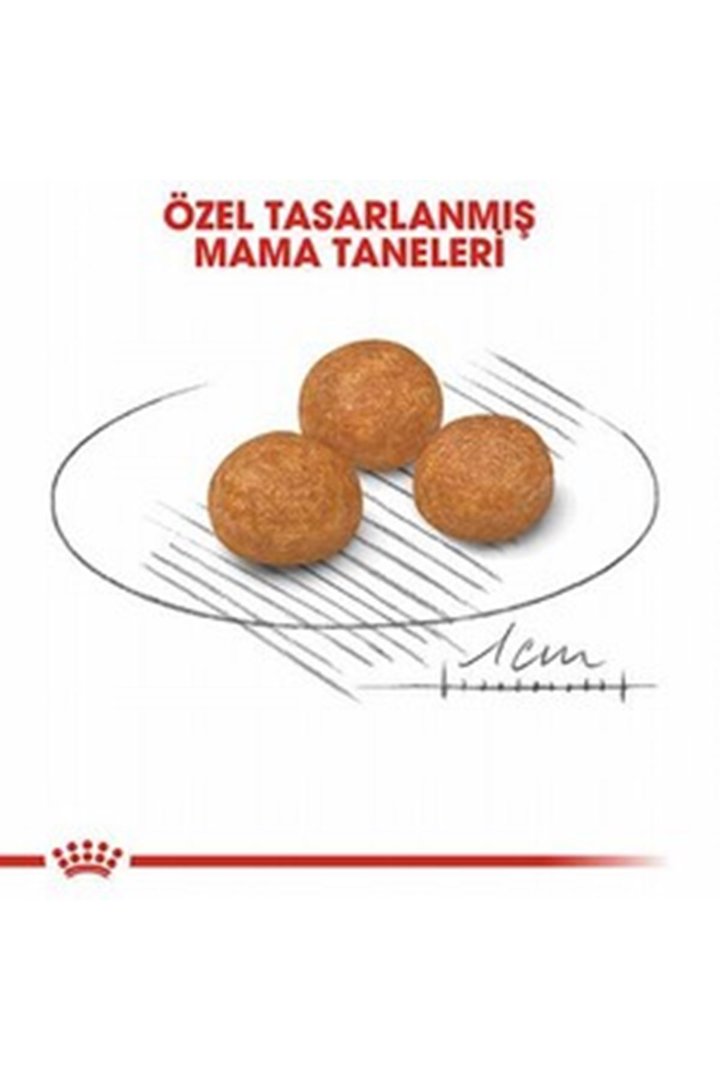 Royal Canin Köpek Maması Küçük Irk 1.5 Kg görsel 4
