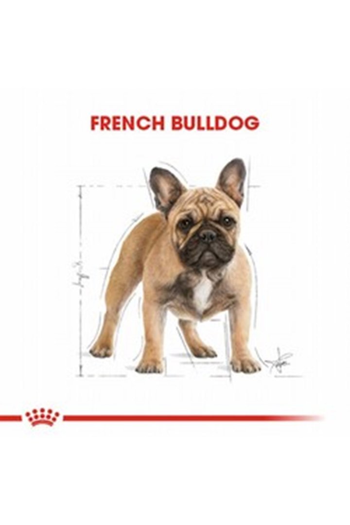 Royal Canin Köpek Maması French Bulldog 3 Kg görsel 3