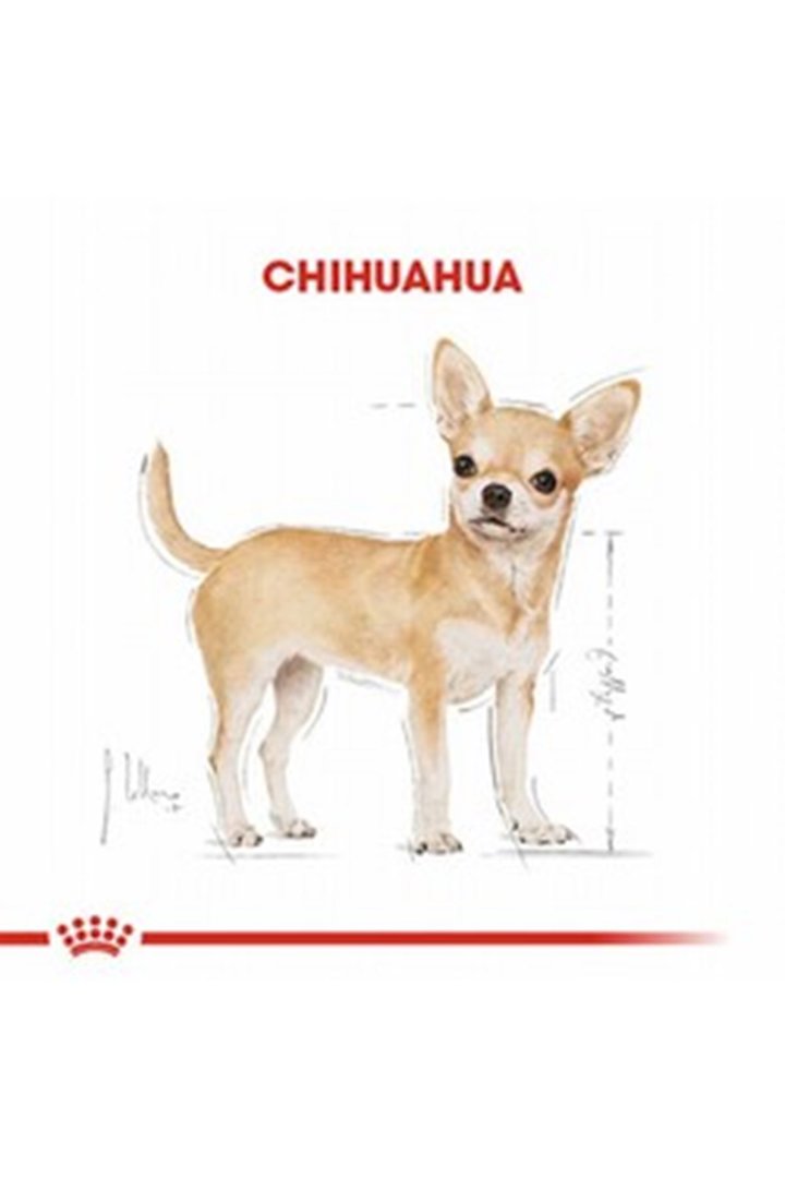 Royal Canin Köpek Maması Chihuahua 1.5 Kg görsel 7