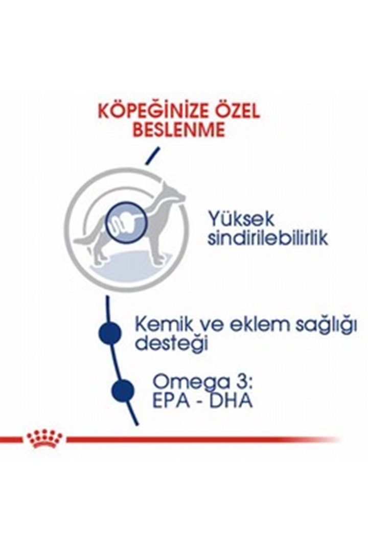 Royal Canin Köpek Maması Büyük Irk 15 Kg görsel 7
