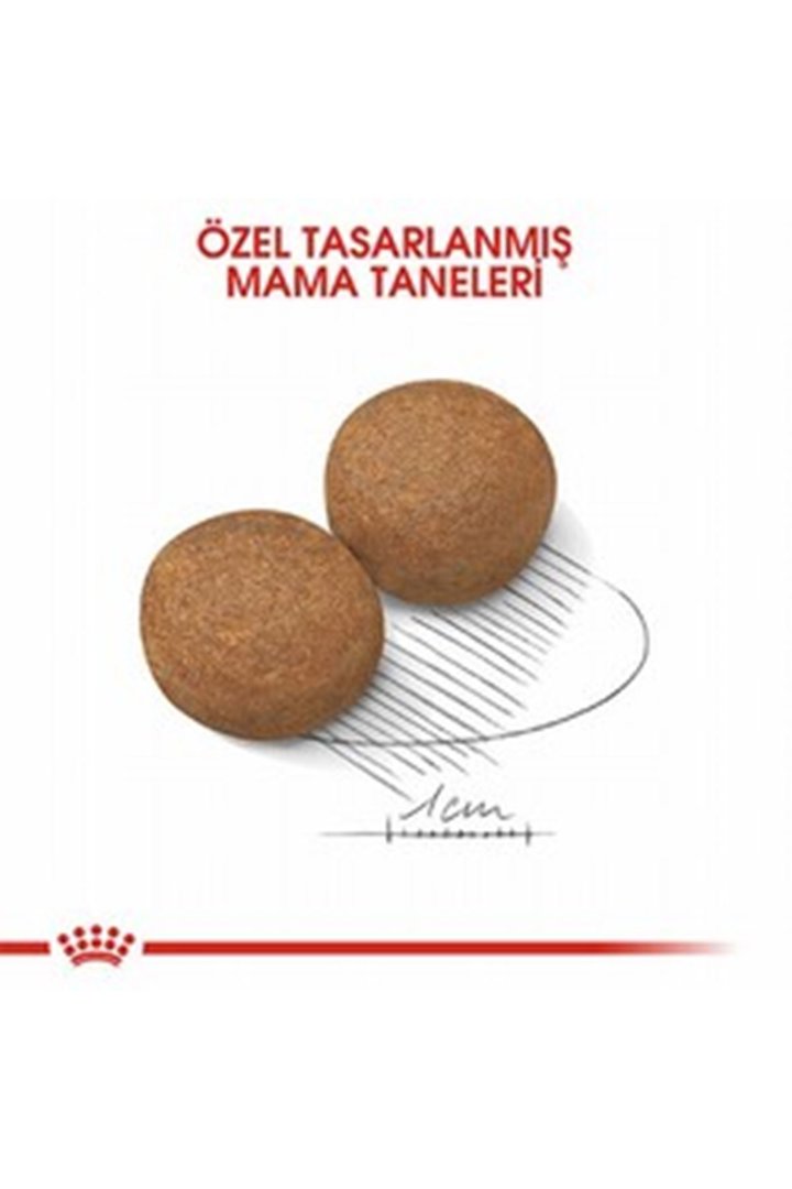 Royal Canin Köpek Maması Büyük Irk 15 Kg görsel 3