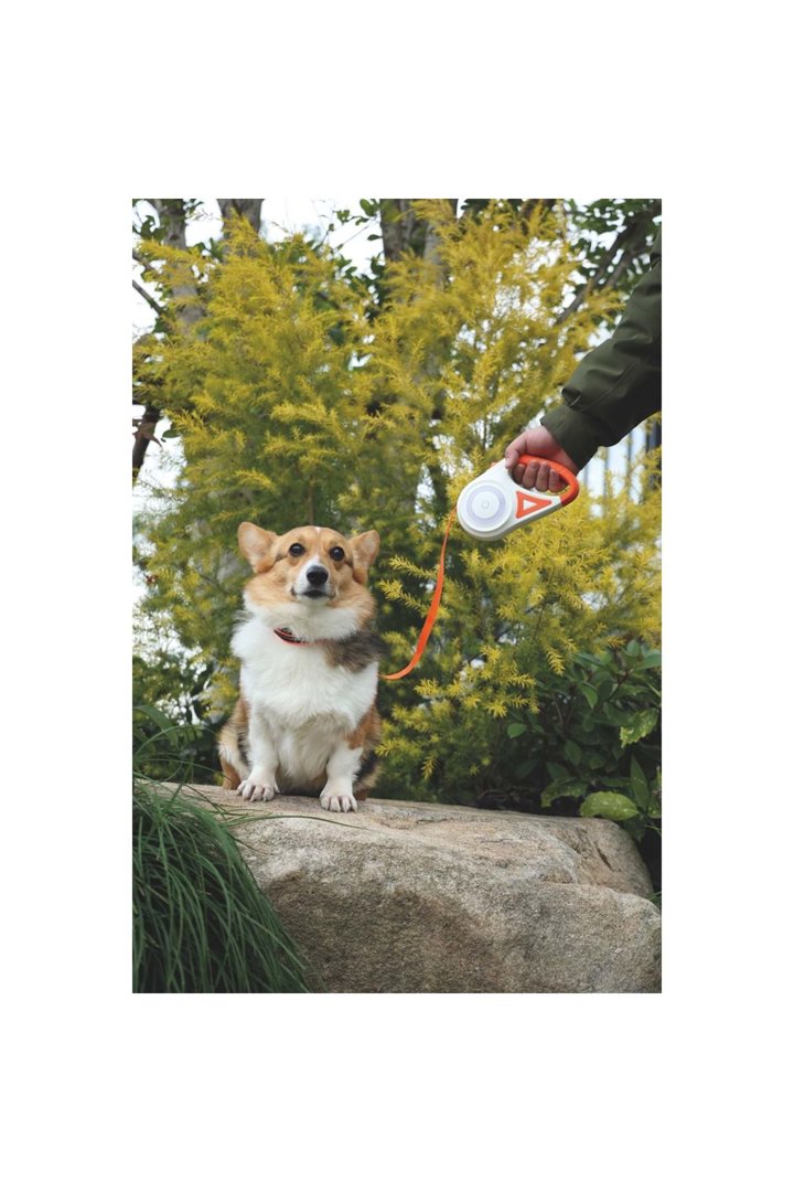 M-Pets Gezdirme Tasma Ledli Otomatik Turuncu(M) 5M görsel 6