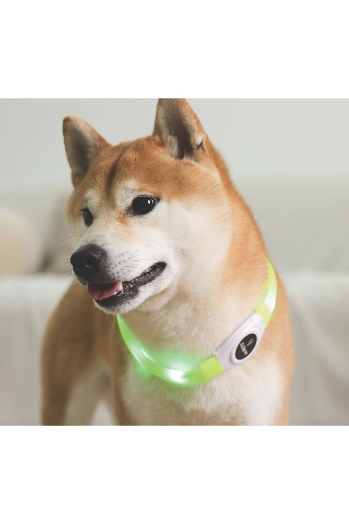 M-Pets Boyun Tasması Flash Ledli Neon Yeşil (M) görsel 4