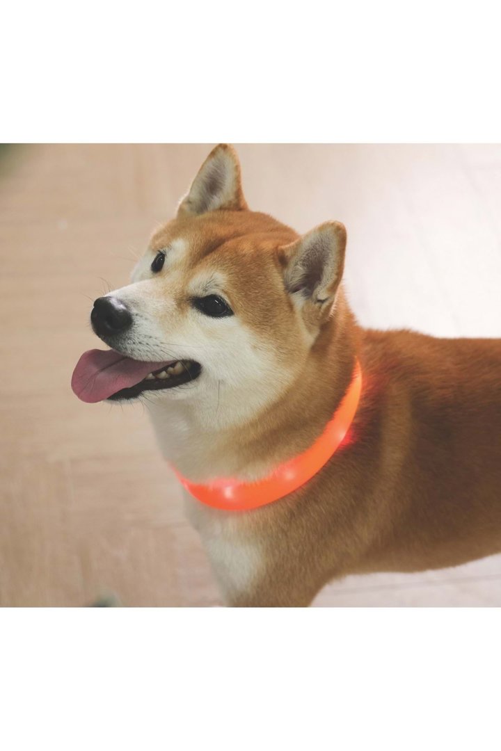 M-Pets Boyun Tasması Flash Ledli Neon Turuncu (M) görsel 4