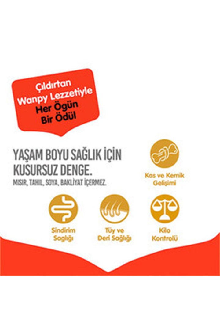 Wanpy Köpek Maması Sığır Etli Tahılsız 1.5 Kg görsel 3