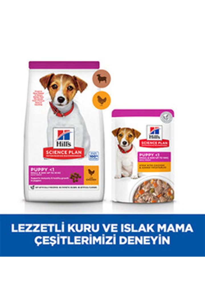 Hill's Yavru Köpek Maması K.Irk Kuzu,Pirinçli 6 Kg görsel 6