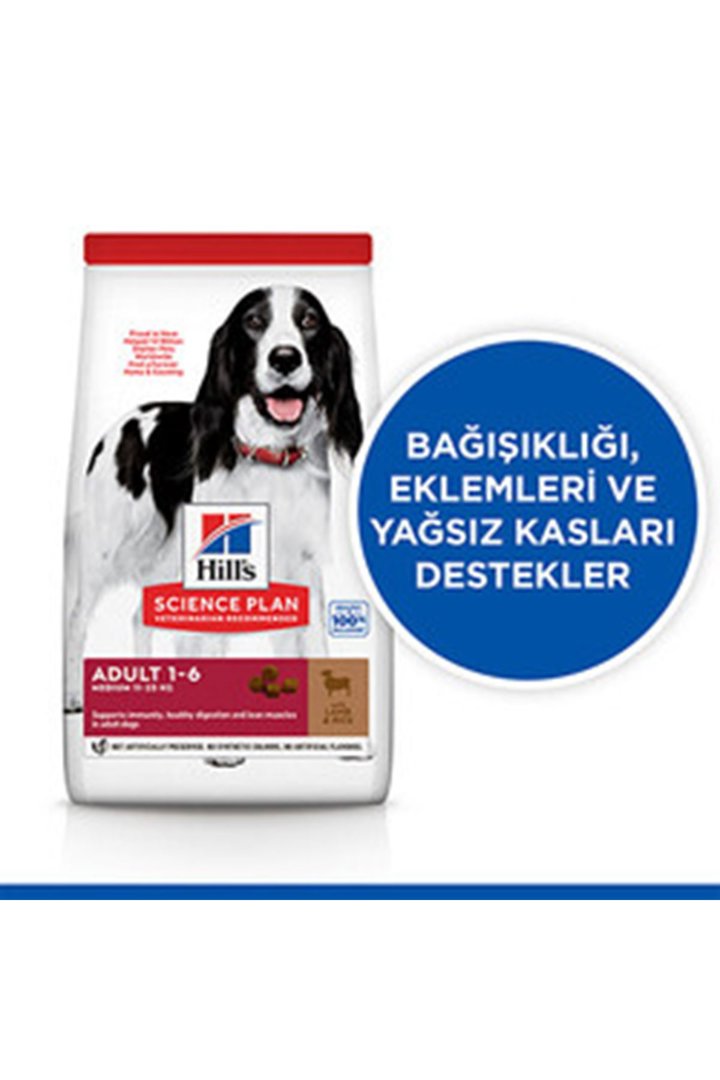 Hill's Köpek Maması Orta Irk Kuzu, Pirinçli 2.5 Kg görsel 4
