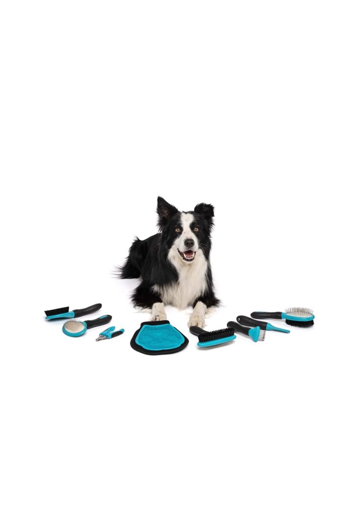 M-Pets Köpek Tırnak Makası (L) görsel 2