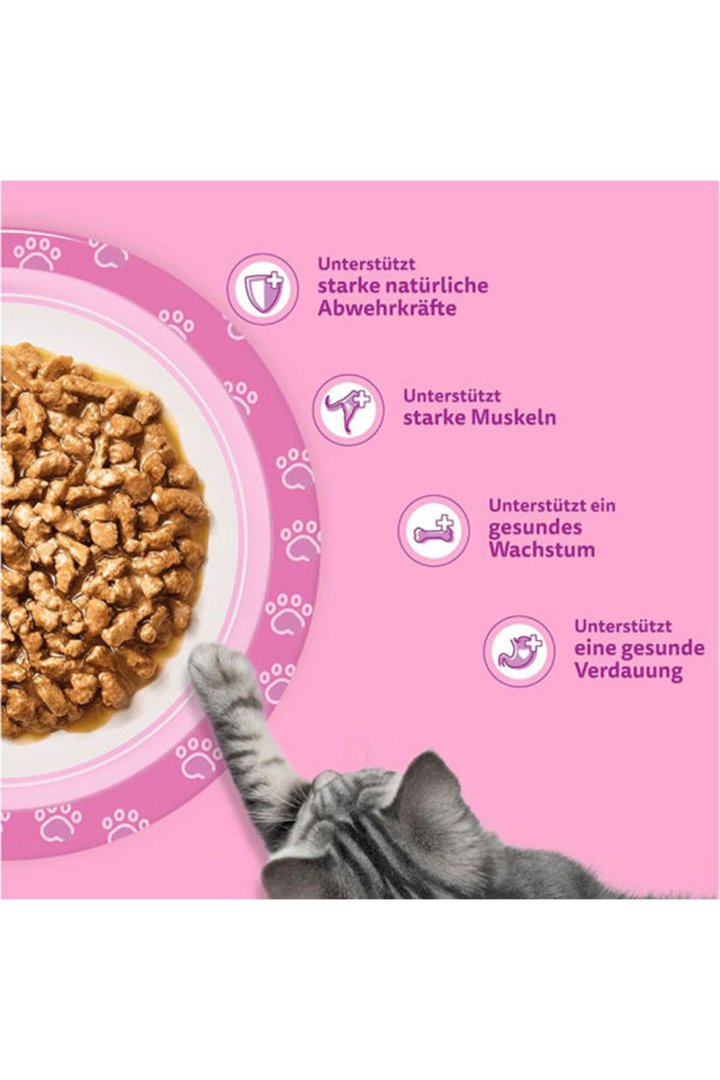 Whiskas Yavru Kedi Yaş Maması Kümes Hayvanlı 85 G görsel 3