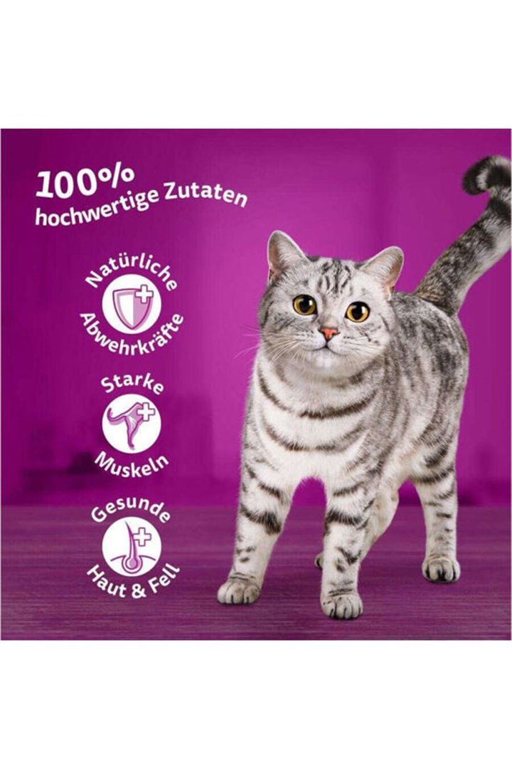 Whiskas Kedi Yaş Maması Tavuklu 85 G görsel 4