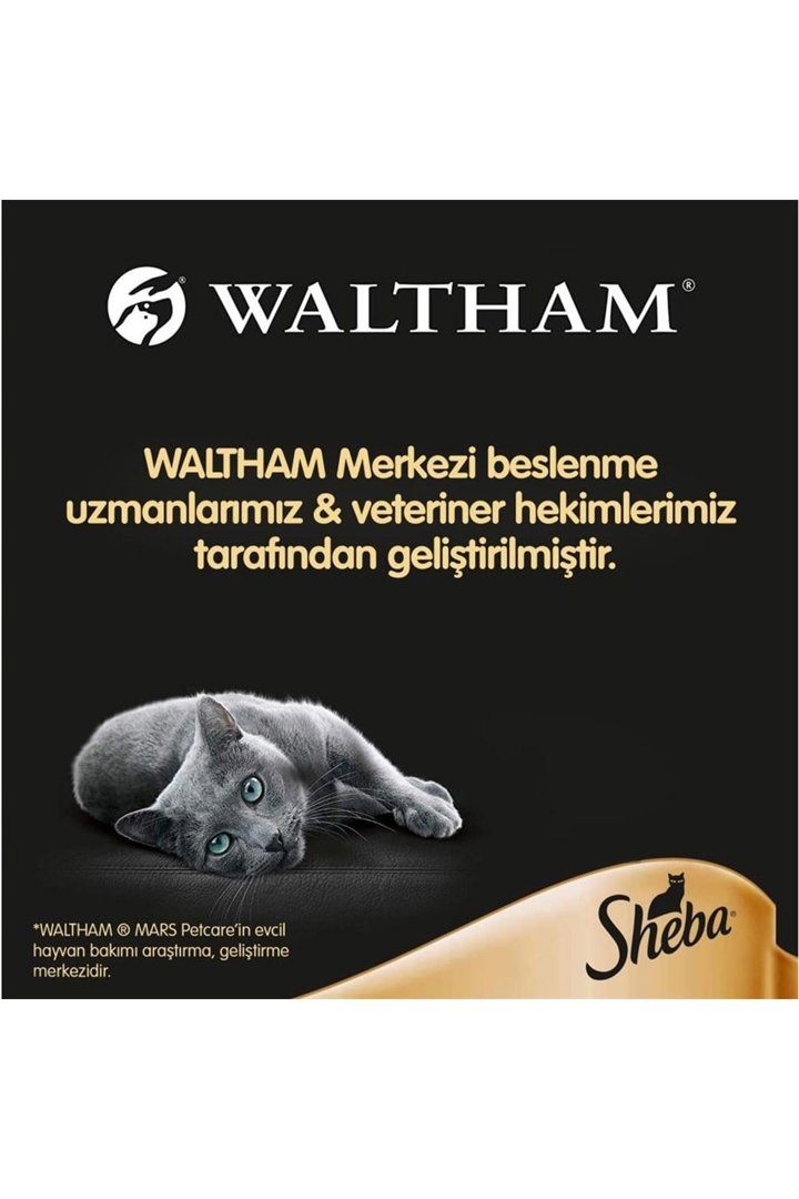 Sheba Kedi Yaş Maması Somonlu 85 G görsel 2