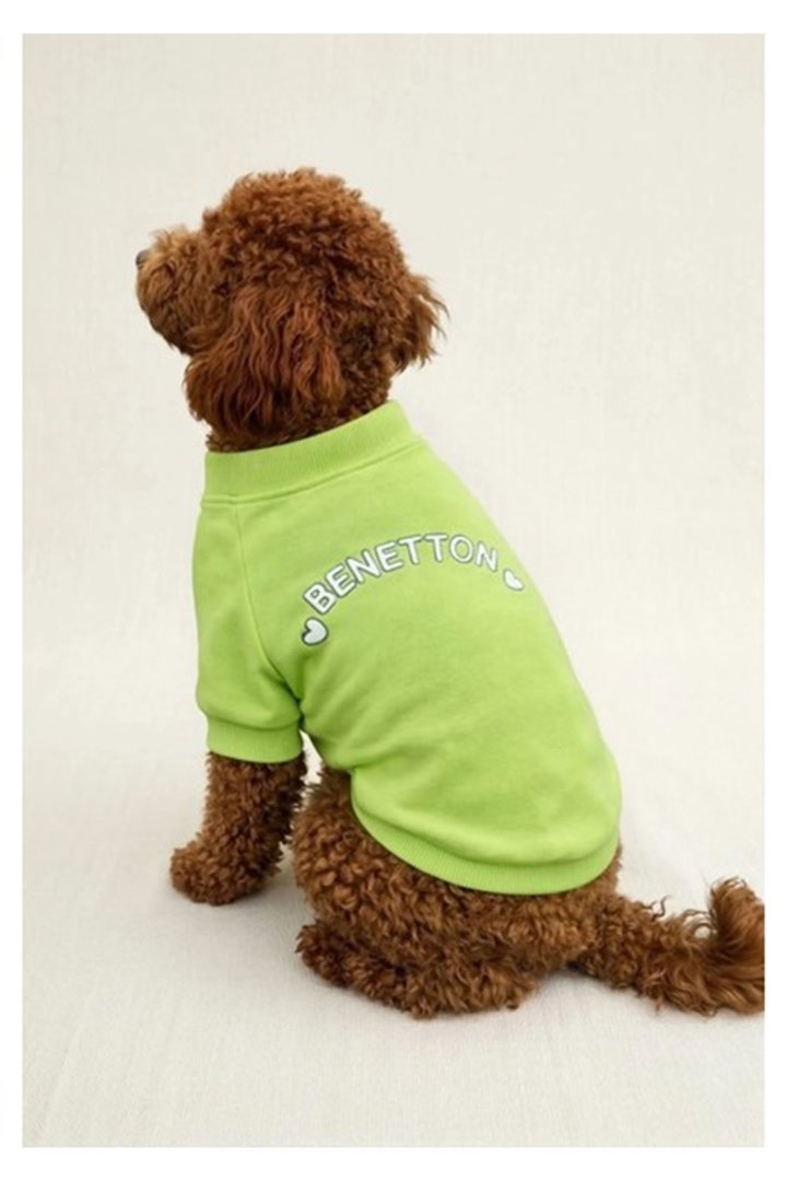 Benetton Sweatshirt Açık Yeşil (M)