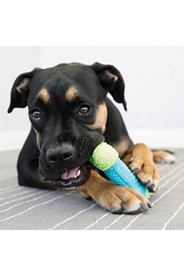 Kong Köpek Oyuncağı Çiğneme L görsel 2