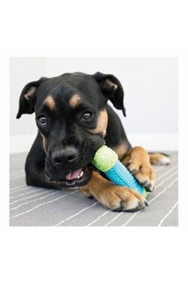 Kong Köpek Oyuncağı Çiğneme S/M görsel 2